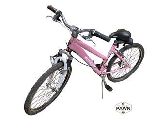 Schwinn Ranger Suntour 24